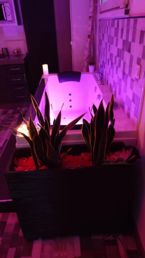 El Nido De La Galeria Apartment Setenil De Las Bodegas Ngoại thất bức ảnh